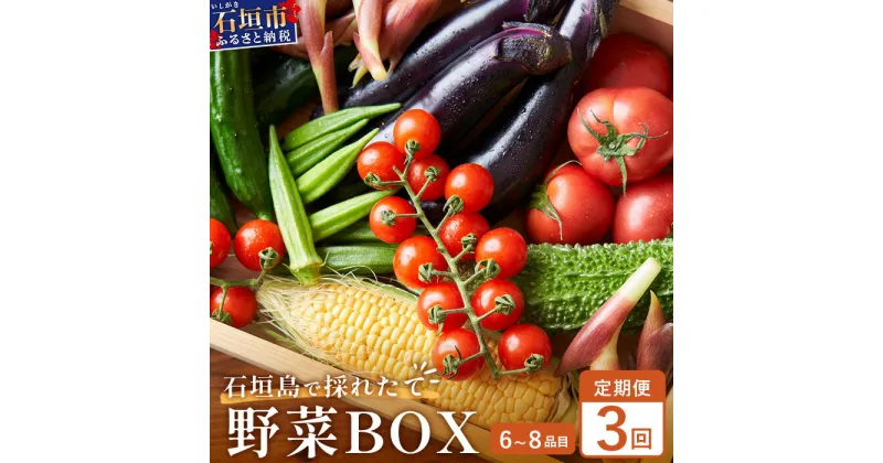 【ふるさと納税】石垣島産 野菜BOX【3回定期便】（6~8種類）季節ごとに野菜パワーをあなたに！！CK-2 【野菜セット おまかせセット 旬 季節のお野菜 旬の野菜セット 詰め合わせ 定期便 3回 定番野菜 島野菜 沖縄県 石垣市 石垣島 石垣 】