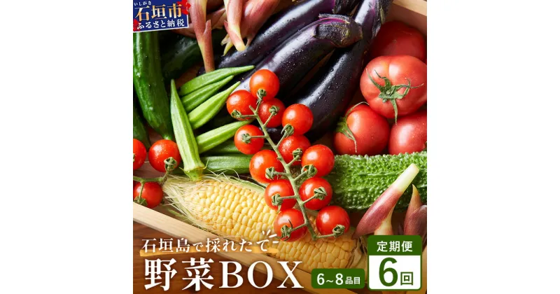 【ふるさと納税】石垣島産 野菜BOX【6回定期便】（6~8種類）季節ごとに野菜パワーをあなたに！！CK-3 【野菜セット おまかせセット 旬 季節のお野菜 旬の野菜セット 詰め合わせ 定期便 6回 定番野菜 島野菜 沖縄県 石垣市 石垣島 石垣 】