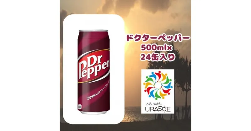 【ふるさと納税】ドクターペッパー 　500ml×24本 | ドクター ペッパー ドクペ 炭酸 ペットボトル ケース 飲み物 ドリンク 人気 沖縄 沖縄県 浦添市