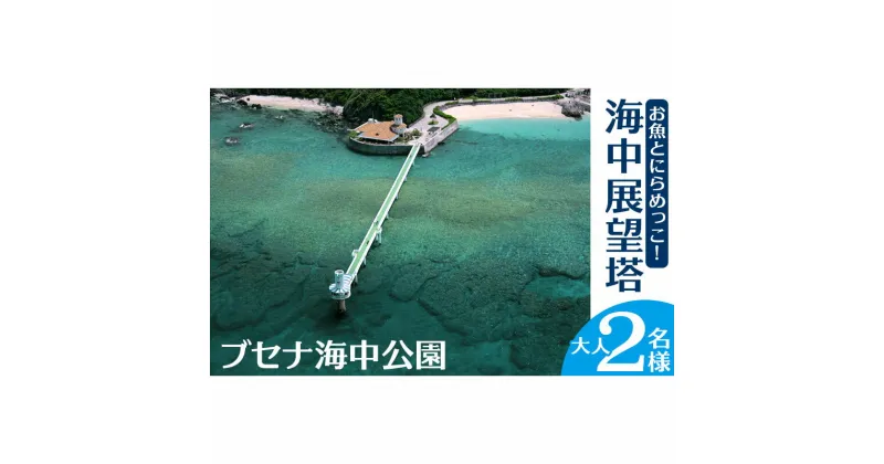 【ふるさと納税】お魚とにらめっこ！海中展望塔　大人2名様【ブセナ海中公園】