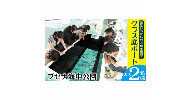 【ふるさと納税】元気いっぱいのお魚を観察！グラス底ボート　大人2名様【ブセナ海中公園】