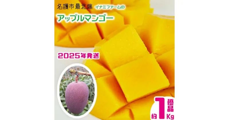 【ふるさと納税】【2025年発送】名護市最北端イナミファームの　優品　アップルマンゴー 約1kg フルーツ 果物 期間限定 数量限定 マンゴー 南国 プレゼント お土産 おみやげ ギフト くだもの 沖縄 おきなわ 青果 デザート 冷蔵 おすすめ 人気 夏 スイーツ