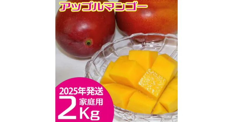 【ふるさと納税】【2025年発送】　ご家庭で美味しく！アップルマンゴー約2kg【つは農園】 フルーツ 果物 期間限定 数量限定 先行予約 南国 プレゼント お土産 おみやげ ギフト くだもの 季節 おきなわ 青果 デザート おすすめ 人気 冷蔵 夏 スイーツ