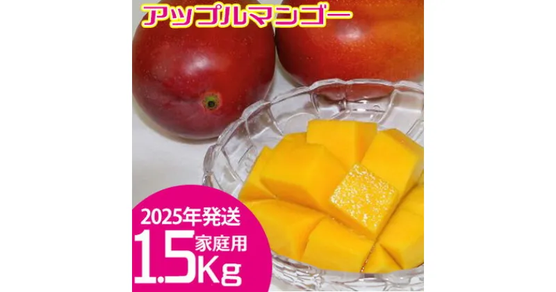 【ふるさと納税】【2025年発送】　ご家庭で美味しく！アップルマンゴー約1.5kg【つは農園】 フルーツ 果物 期間限定 数量限定 先行予約 南国 プレゼント お土産 おみやげ ギフト くだもの 季節 おきなわ 青果 デザート おすすめ 人気 冷蔵 夏 スイーツ