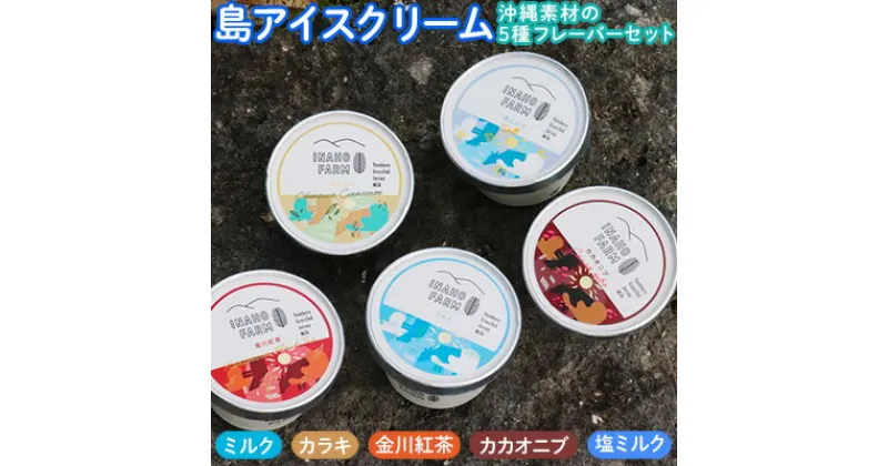 【ふるさと納税】『島アイスクリーム』やんばる産グラスフェッドジャージー牛乳の無添加アイス＜沖縄素材の5種フレーバーセット＞（合計550ml：5個入） ミルク 金川紅茶 カカオニブ カラキ 塩ミルク ジャージー アイス 美味しい おいしい 牛乳 おやつ 子ども こども 贅沢