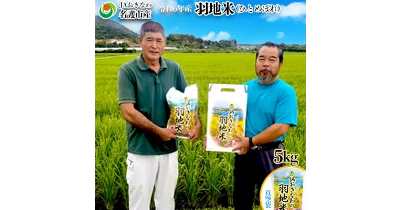 【ふるさと納税】令和6年産　羽地米(ひとめぼれ)　5kg 名護 米 こめ おこめ 国産 沖縄 食品 おにぎり おいしい 独特 お取り寄せ 真空袋 食べ物 美味しい 自然 ご当地 県産 南国 なご 旨味