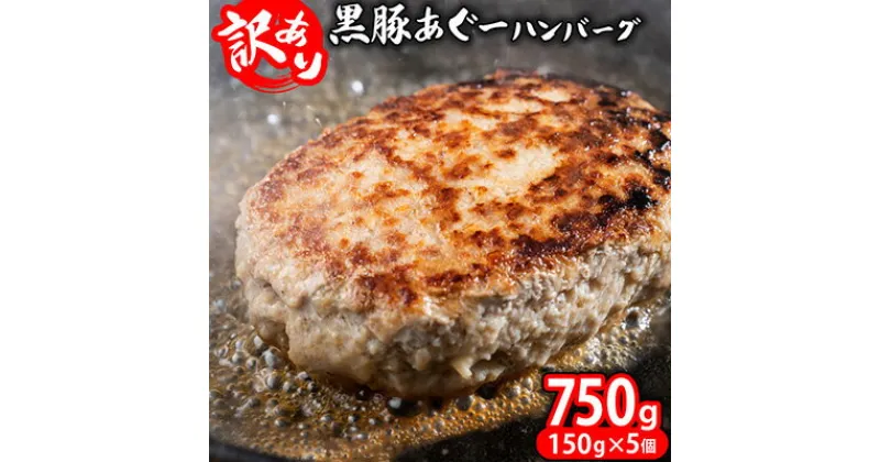 【ふるさと納税】【訳あり】あぐー豚肉ハンバーグ　750g（150g×5個） 簡易包装シリーズ【黒豚あぐー】 訳アリ 豚 簡易包装 SDGS ハンバーグ あぐー 名護市 銘柄豚肉 簡単調理 簡単料理 おかず 食品 国産 県産 真空パック 沖縄 おきなわ 送料無料 やんばる 人気