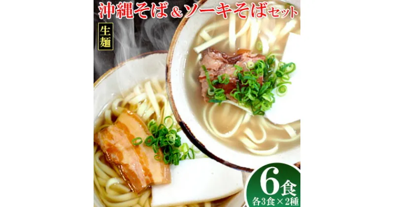 【ふるさと納税】沖縄そば＆ソーキそばセット 6食分（3袋入り×2箱） 沖縄そば ソーキ そば 生麺 生めん 三枚肉そば 沖縄料理 郷土料理 お土産 かつお 豚肉 道の駅 味付け豚肉 三枚肉 豚骨 とんこつ ソウルフード 本場 6食 人気