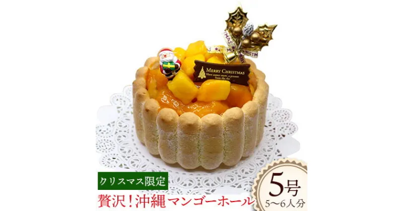 【ふるさと納税】クリスマス限定★贅沢沖縄マンゴーホール5号サイズ【マンゴースイーツ専門店】 ケーキ 完熟 マンゴー スイーツ クリスマス 先行予約 限定 専門店 マンゴーホール パーティー バースデー 数量限定 お取り寄せ Xmasケーキ 贈り物 レアチーズ カットマンゴー