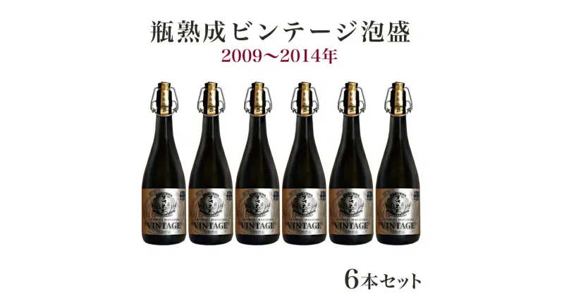 【ふるさと納税】瓶熟成ビンテージ泡盛6本セット(2009年〜2014年)