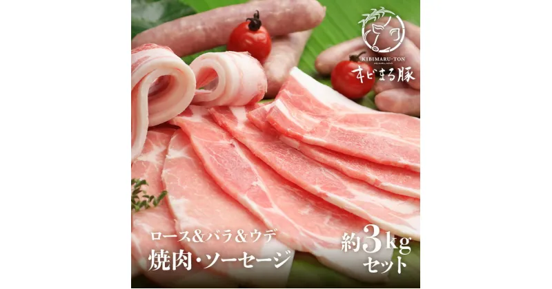 【ふるさと納税】キビまる豚【ロース&バラ&ウデ】焼肉・ソーセージ 約3kgセット BBQ バーベキュー 食品 加工食品 肉 精肉 豚肉 ブランド豚 ロース バラ ウデ ウィンナー ソーセージ 焼肉 冷凍 ギフト 贈り物 沖縄 糸満市 32000円