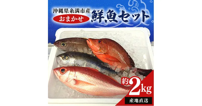 【ふるさと納税】【産地直送】【漁師まちの鮮魚店厳選】おまかせ鮮魚セット(約2kg)