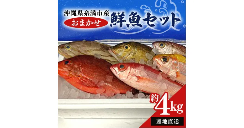 【ふるさと納税】【産地直送】【漁師まちの鮮魚店厳選】おまかせ鮮魚セット(約4kg)