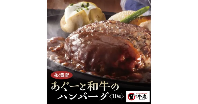 【ふるさと納税】和牛 × アグー豚 入り ハンバーグ 10個 入り 真空パック 沖縄県産 牛肉 豚肉 あぐー豚 幻の豚 冷凍 小分け 120g ×10個 大容量 牛肉ハンバーグ 豚肉ハンバーグ 大きめ 合挽き 肉 加工食品 鉄板焼き 簡単調理 子供 お肉 専門店 牛庵 沖縄 糸満市10000円