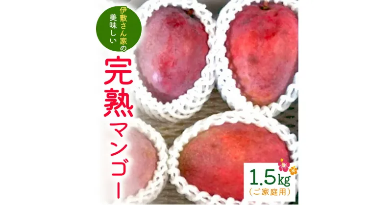 【ふるさと納税】【2025年発送】伊敷さん家の美味しい完熟マンゴー1.5kg(ご家庭用)