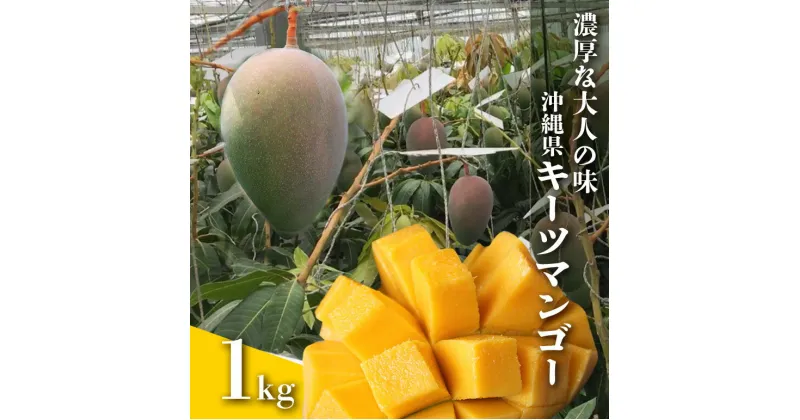 【ふるさと納税】【2025年発送】濃厚な大人の味 沖縄県「キーツマンゴー」1kg