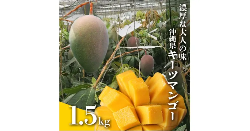 【ふるさと納税】【2025年発送】濃厚な大人の味 沖縄県「キーツマンゴー」1.5kg