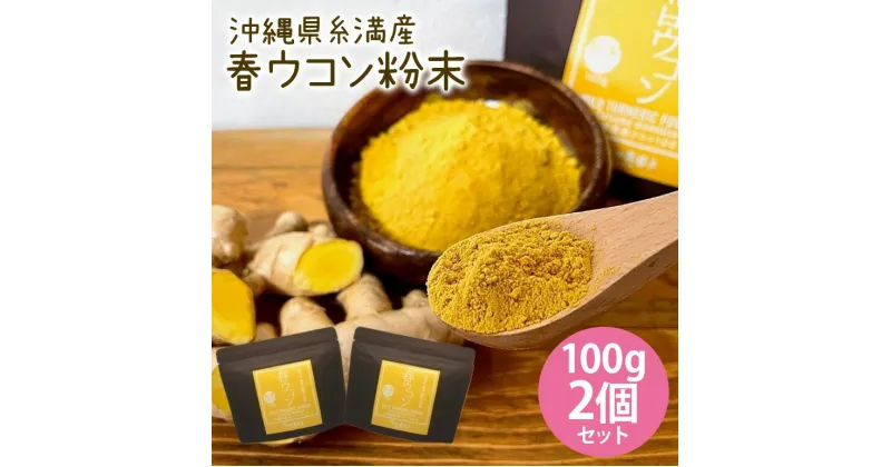 【ふるさと納税】沖縄県糸満産 春ウコン粉末100g 2個セット