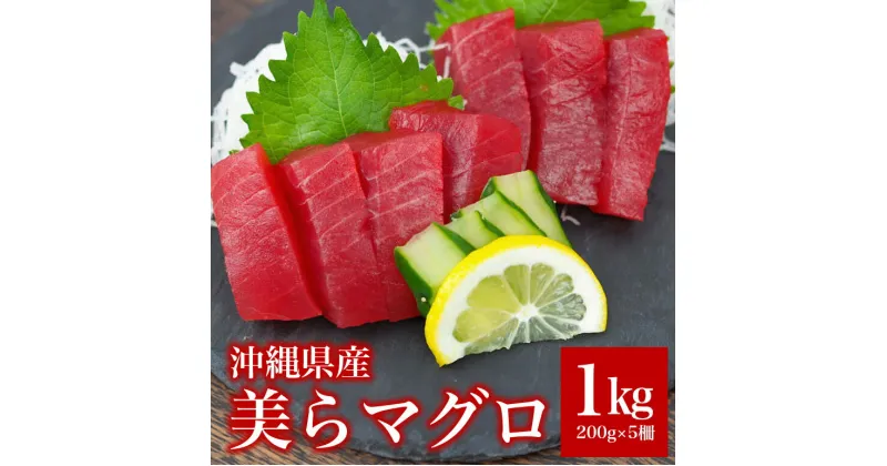 【ふるさと納税】まぐろ 1kg (200g ×5柵)美らマグロ 旬 鮪 鮮度抜群 メバチマグロ キハダマグロ 魚種 おまかせ 柵 赤身 高たんぱく 低カロリー 真空 冷凍 刺身 家庭用 小分け 沖縄 糸満市 29000円