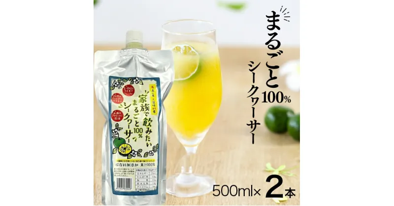 【ふるさと納税】家族で飲みたいまるごと100%シークヮーサー500ml×2本(パウチタイプ)