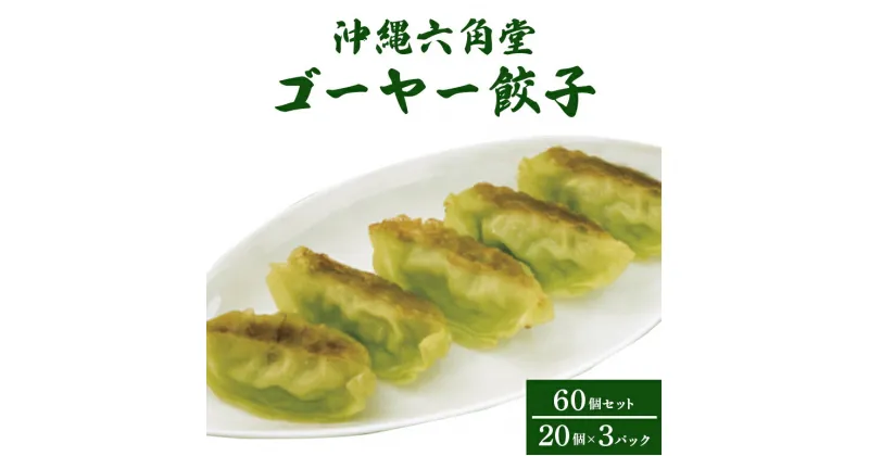 【ふるさと納税】ゴーヤー餃子60個(20個×3パック)セット