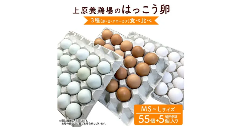 【ふるさと納税】はっこう卵 3種食べ比べMS~Lサイズ 55個+破卵保障5個 卵 種類 サイズ おまかせ 白卵 30個 赤卵 20個 青卵 10個 アローカナ たまご タマゴ 食比べ 生卵 味卵 煮卵 目玉焼き ゆで卵 キッシュ 沖縄 糸満市 上原養鶏場 10000円