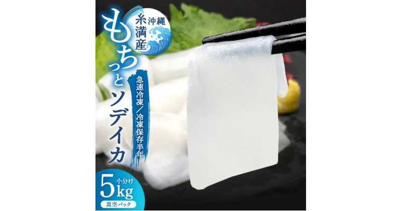 【ふるさと納税】モチっとした新食感!ソデイカ(セーイカ)約5kg いか 刺身 イカ いか グルメ 大容量 訳あり 訳アリ お徳用 直送 海産物 簡易包装 海人 沖縄 ふるさと納税 沖縄県 海産物 50,000円