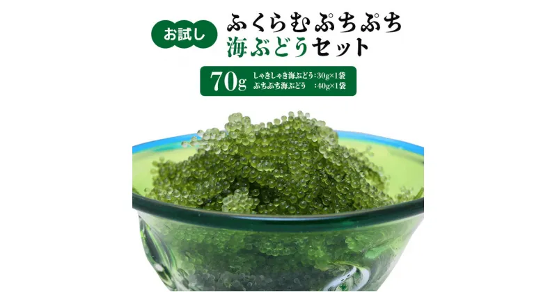 【ふるさと納税】【お試し】ふくらむぷちぷち海ぶどうセット 塩水タイプ 70g