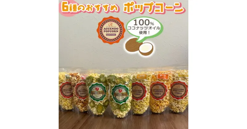 【ふるさと納税】100％ココナッツオイル使用！6種のおすすめポップコーン【 食品 加工食品 お菓子 ポップコーン 6種 オススメ 食べ比べ ゴーヤーチップス 485g サクサク ゴーヤー 苦瓜 おやつ 間食 パーティ イベント プレゼント 贈答 贈り物 ギフト 沖縄 Accendo Popcorn 】