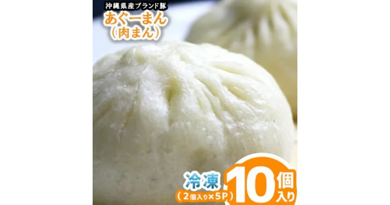 【ふるさと納税】沖縄県産ブランド豚　あぐーまん（肉まん）　10個入り（2個入り×5P）冷凍【 食品 加工食品 手作り 中華まん 点心 飲茶 まんじゅう にくまん 肉饅 豚まん 豚肉 アグー 粗挽 蒸し器推奨 レンジ可 おやつ 軽食 贈答用 贈り物 ギフト 沖縄 沖縄県産 豚々茶舗 】