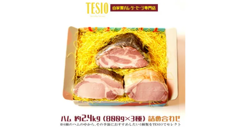 【ふるさと納税】自家製ハム・ソーセージ専門店「TESIO」ハム 約2.4kg（800g×3種）詰め合わせ【 牛肉 豚肉 自家製 ドイツ製法 スモークド・ハム ホワイトハム ローストポーク ケイジャン プロヴァンス ペッパーポーク ベーコン 贈答用 ギフト セット 冷蔵 】