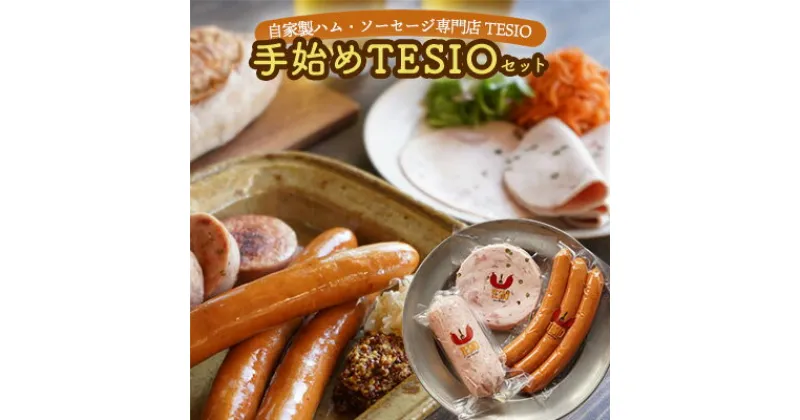 【ふるさと納税】自家製ハム・ソーセージ専門店TESIO「手始めTESIO」セット（合計480g） 牛肉 豚肉 専門店 自家製 ドイツ製法 ソーセージ ウィンナー ウインナー ボローニャ モルタデッラ ハム お試し グルメ 朝食 おつまみ 手作り 食べ比べ 詰め合わせ 国産 沖縄県