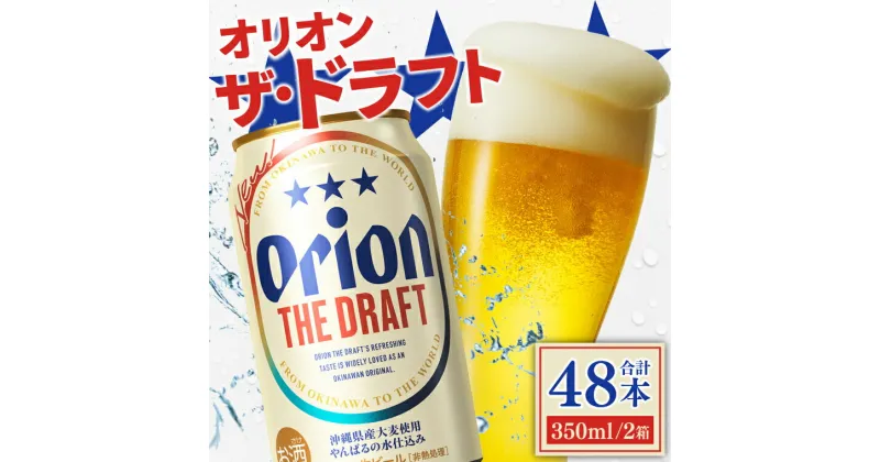 【ふるさと納税】〈オリオンビール社より発送〉ザ・ドラフト(350ml×48本)(AB007)