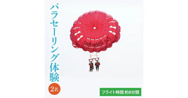 【ふるさと納税】パラセーリング体験｜パラセーリング 沖縄 豊見城市 とみぐすく 海 大空 青い 舞う 沖縄県 豊見城 体験 パラセーリング体験 2名 ペア(BQ002)