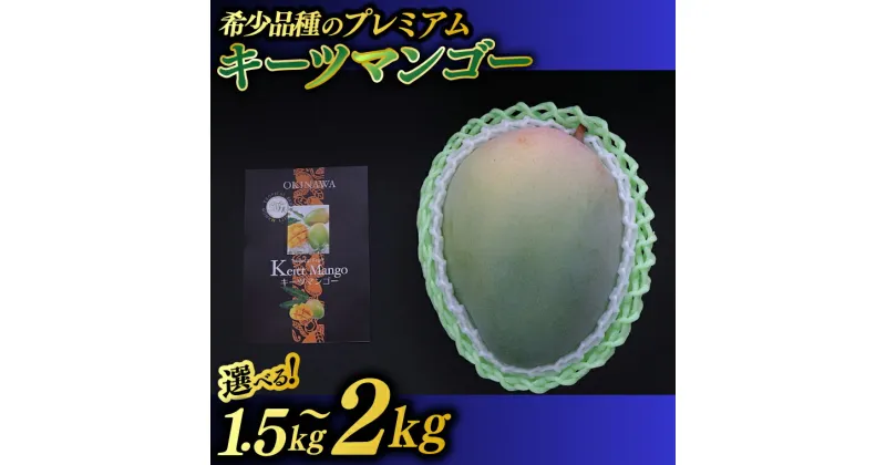 【ふるさと納税】【選べる内容量】【2025年8月より順次発送】【先行予約】稀少プレミアム！！豊見城市産キーツマンゴー！(BV001-1)