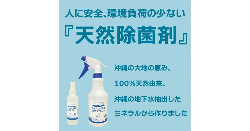 【ふるさと納税】レキオパワー【沖縄県産】除菌スプレー（480ml×2本）