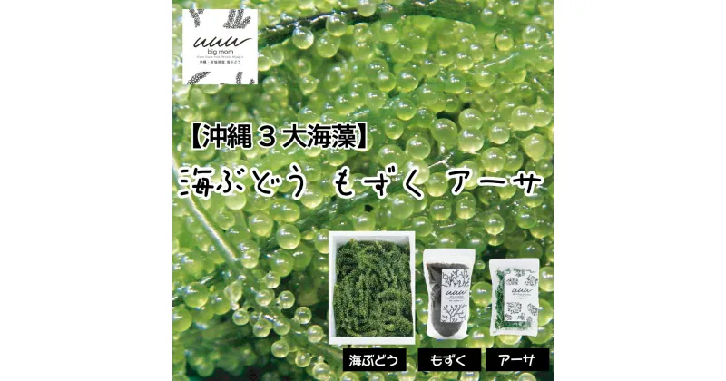 【ふるさと納税】【沖縄3大海藻セット】海ぶどう・もずく・アーサ【2024年4月より順次発送】　沖縄　ふるさと納税　海ぶどう　もずく　アーサ