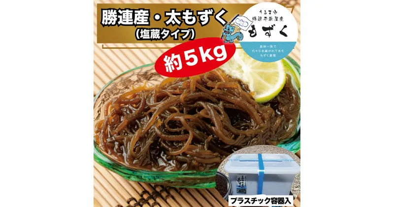 【ふるさと納税】勝連産・太もずく（塩蔵タイプ）約5kg　プラスチック容器入り【嘉保水産】　うるま市　勝連産　太もずく　定期便　沖縄　フコイダン　ミネラル　 塩漬け　産地直送　酢の物　てんぷら もずく丼