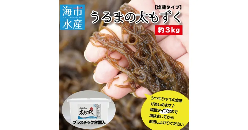 【ふるさと納税】海市水産から直送する「うるまの太もずく約3kg【塩蔵】」沖縄もずく　うるま市　もずく　3kg　塩蔵　産直