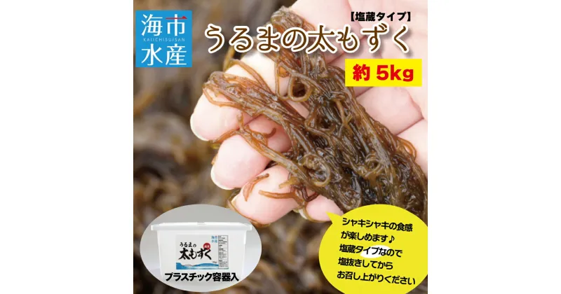 【ふるさと納税】海市水産から直送する「うるまの太もずく約5kg【塩蔵】」沖縄もずく　うるま市　もずく　太もずく　産直　5kg