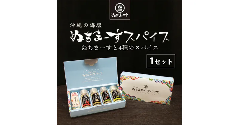 【ふるさと納税】沖縄の海塩「ぬちまーす」人気のぬちスパイスセット 食塩 塩 調味料 食卓塩 唐辛子 ヒバーチ シークアーサー ガーリック ニンニク フィファチ スパイス 香辛料