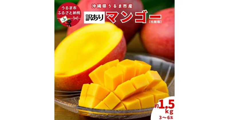 【ふるさと納税】沖縄県 うるま市産 完熟 マンゴー 訳あり品 1.5kg【2025年発送】