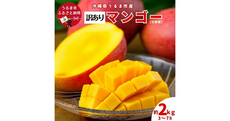 【ふるさと納税】沖縄県 うるま市産 完熟 マンゴー 訳あり品 2kg【2025年発送】