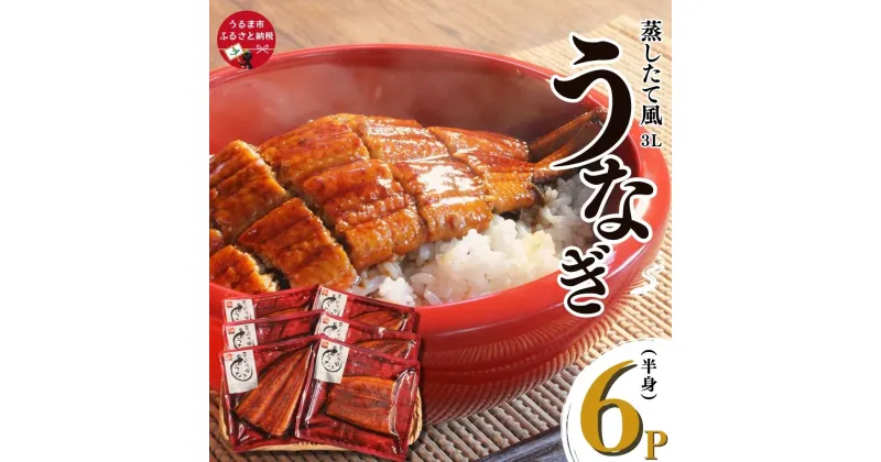 【ふるさと納税】蒸したて風うなぎ3L（半身）×6P （中国産）　鰻　うな重　鰻丼　うな丼　う巻き　土用の丑の日　沖縄　うるま市