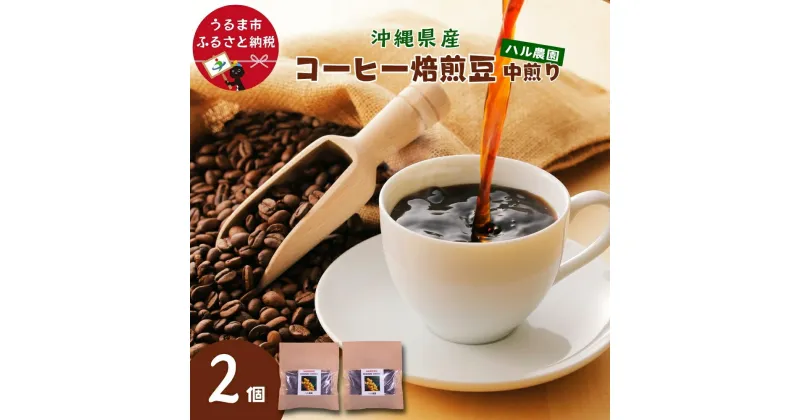 【ふるさと納税】うるまのコーヒー豆　2個セット【ハル農園】沖縄　コーヒー　コーヒー豆　珈琲　農園