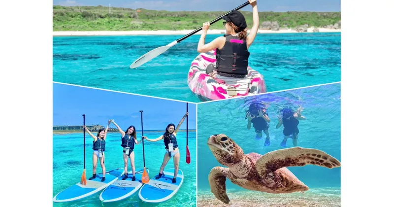 【ふるさと納税】二大定番アクティビティ半日凝縮セットプラン　南国 宮古島 離島 海遊び ウミガメ マリンスポーツ アクティビティ