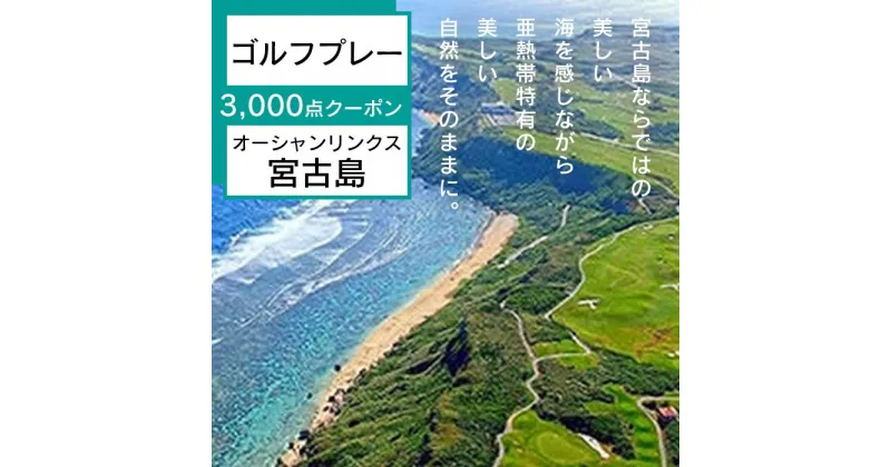 【ふるさと納税】オーシャンリンクス宮古島　プレー3,000点クーポン | ゴルフ プレー券 ゴルフ利用券 観光 チケット 旅 リゾート ギフト プレゼント 人気 おすすめ 沖縄 南国 宮古島 離島（L103）