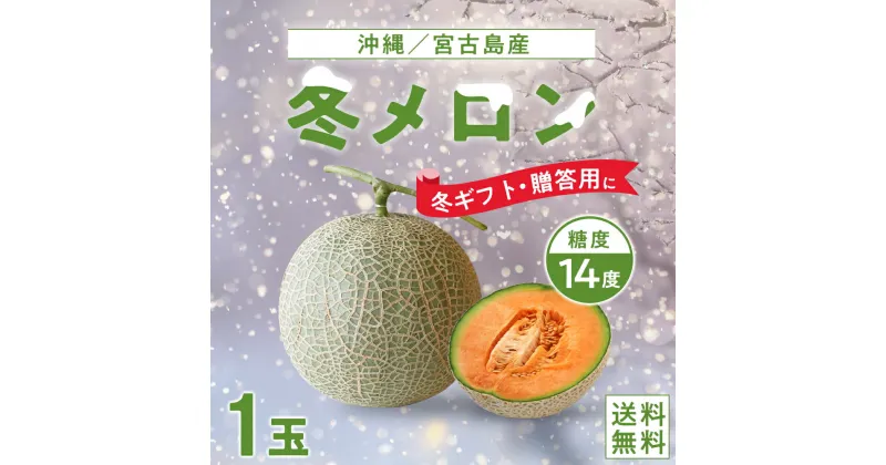 【ふるさと納税】【琉球マルシェ】毎年大好評！沖縄・宮古島 冬メロン（1玉）贈答用 冬のギフト | めろん フルーツ 宮古島産メロン 果物 人気 プレゼント ギフト 贈答 糖度14度以上 送料無料 おすすめ ご当地 離島 沖縄 宮古島