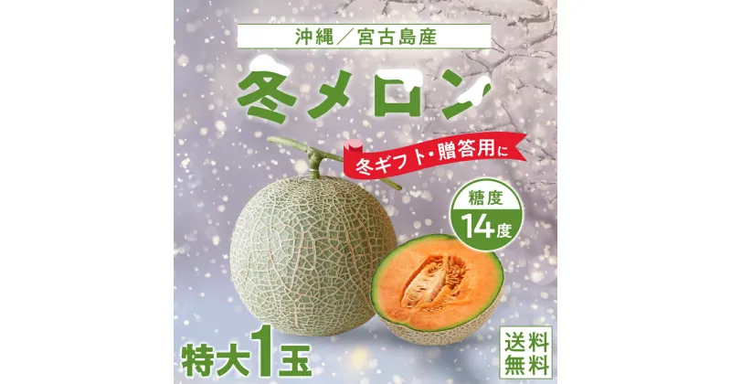 【ふるさと納税】【琉球マルシェ】毎年大好評！沖縄・宮古島 冬メロン（特大1玉）贈答用 冬のギフト | めろん フルーツ 宮古島産メロン 果物 人気 プレゼント ギフト 贈答 糖度14度以上 送料無料 おすすめ ご当地 離島 沖縄 宮古島