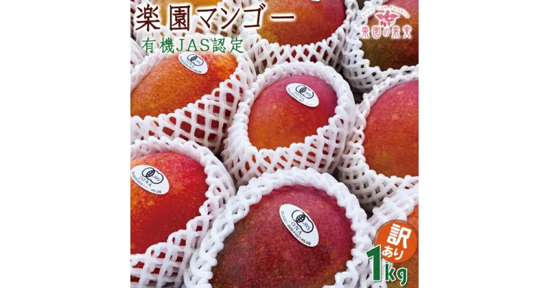 【ふるさと納税】《先行予約》2025年発送【楽園の果実】有機JAS認証の圃場で育ったマンゴー（アーウィン）わけあり 1kg